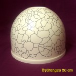 Hydrangea 20 cm