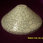 Water Lily 25 cm